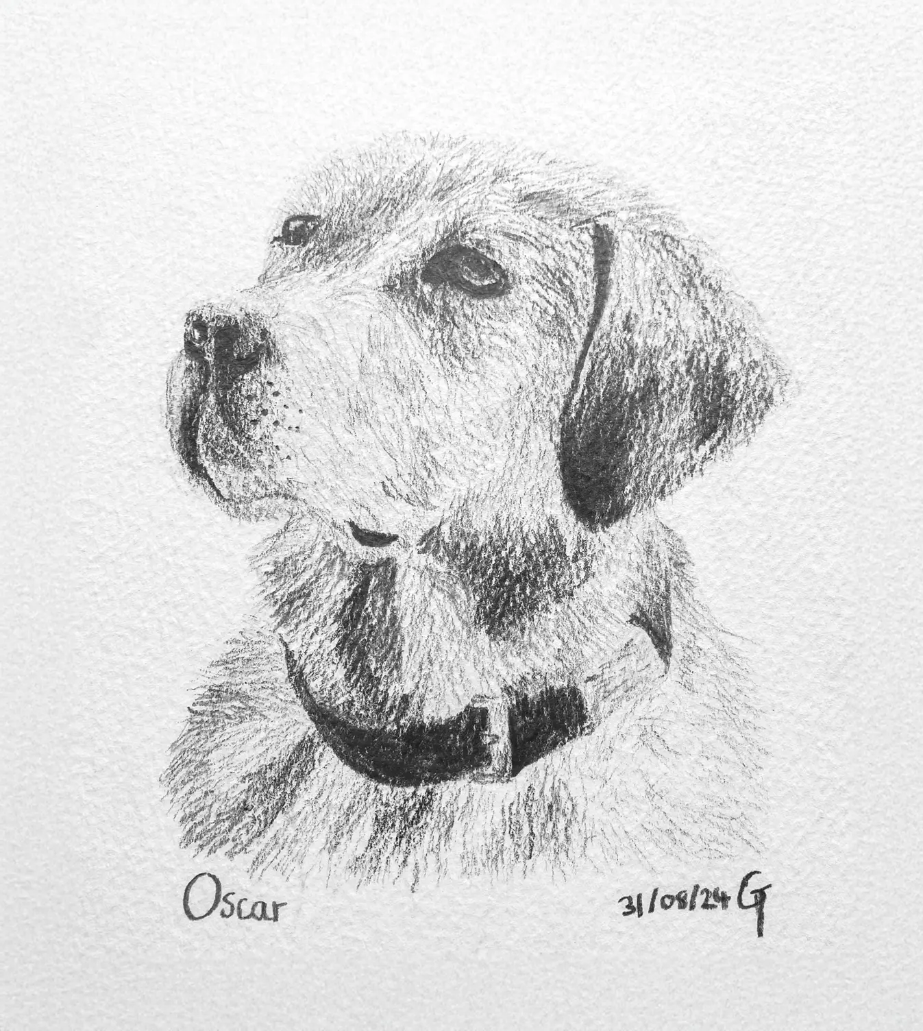 Oscar's pawtrait